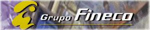 Grupo Fineco