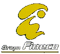 Grupo Fineco