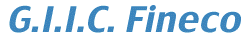 G.I.I.C. Fineco