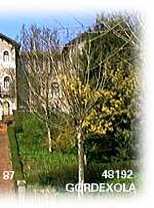 GIZAKIA
