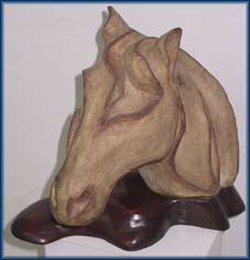 CABEZA CABALLO