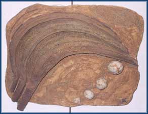 RELIEVE