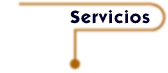 servicios