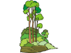 terreno1