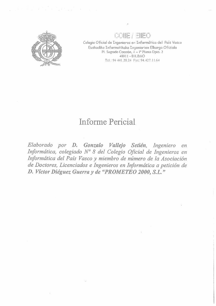Informe pericial del Portal de Internet (2002), página 1