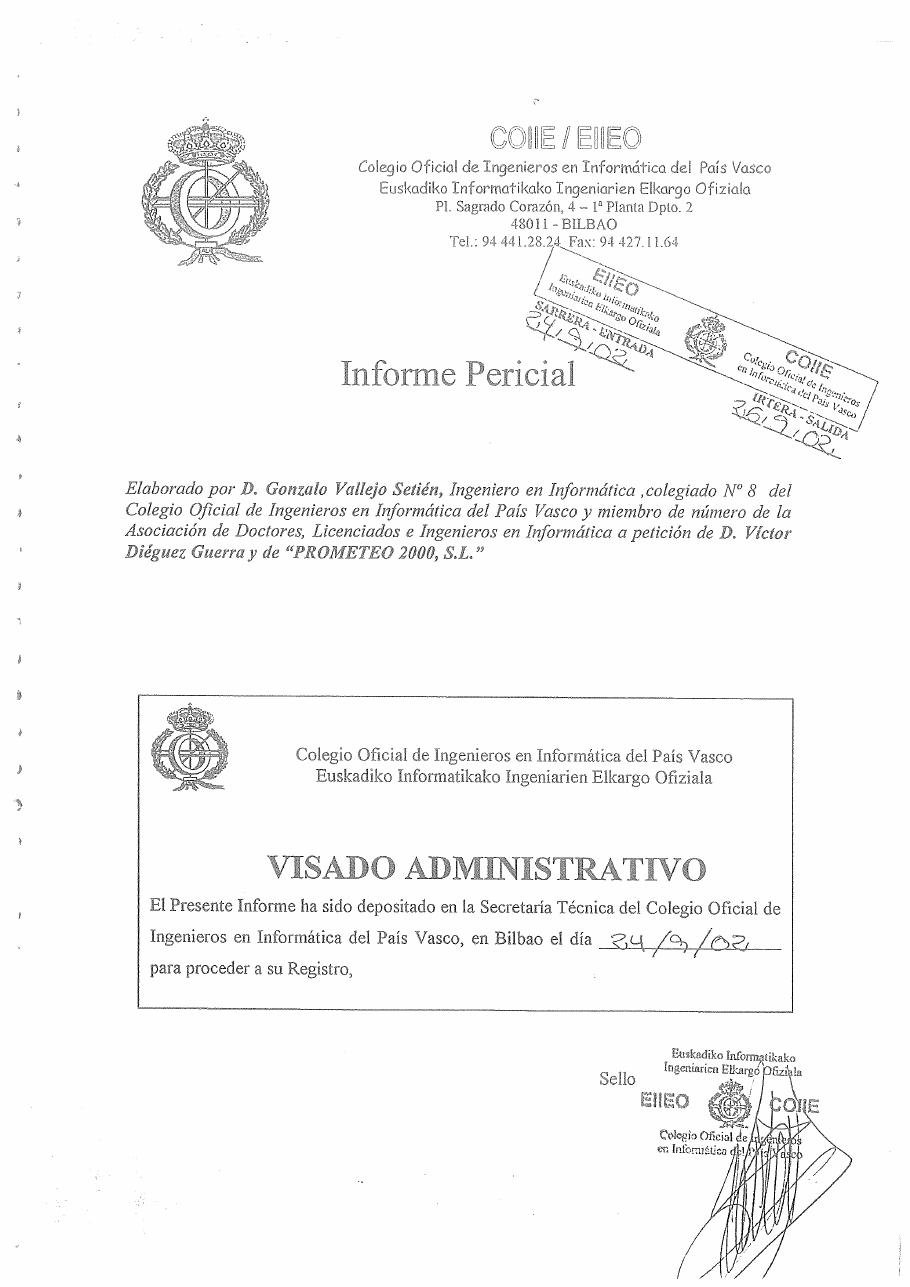 Informe pericial del Portal de Internet (2002), página 2