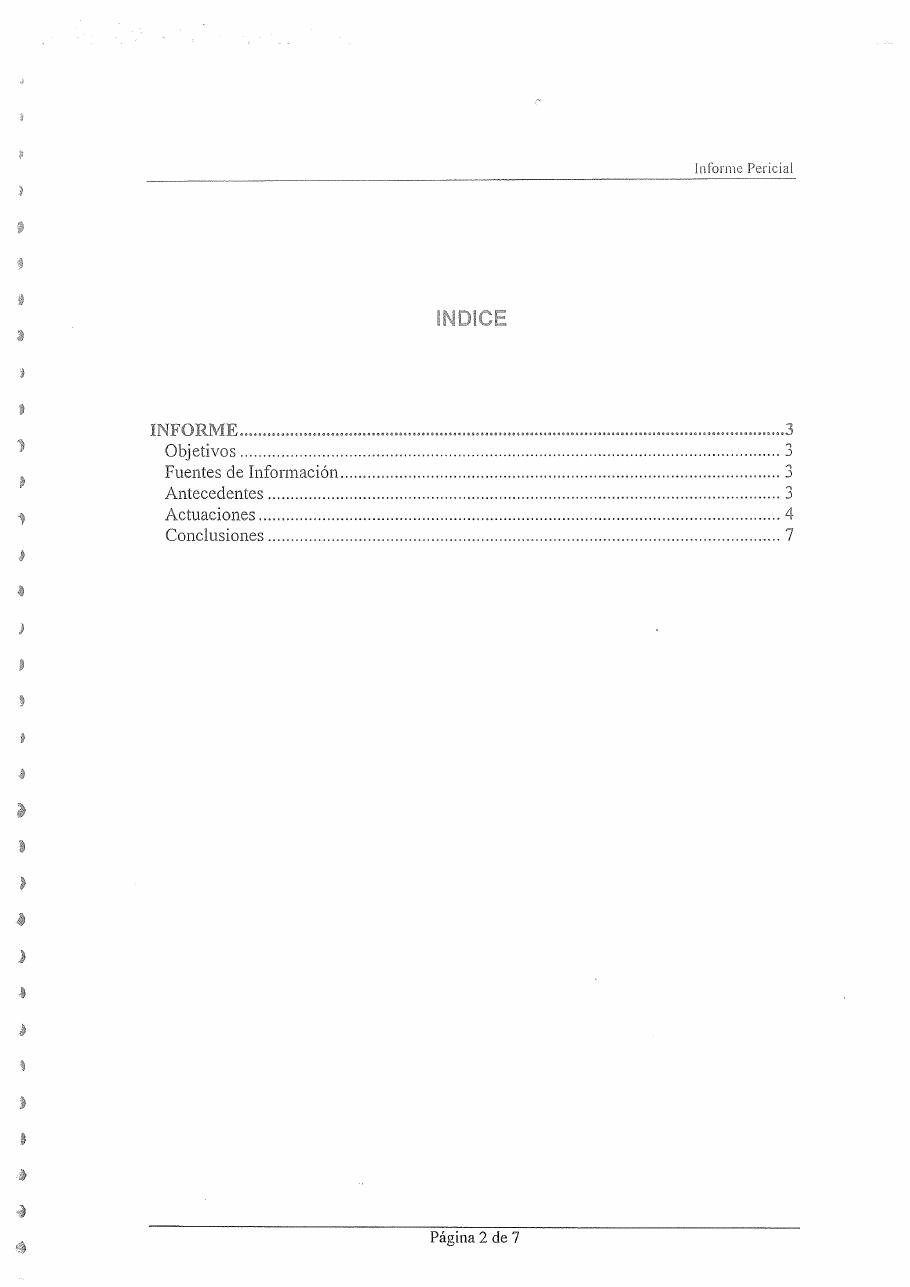 Informe pericial del Portal de Internet (2002), página 3