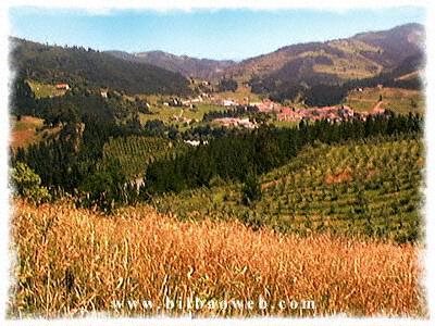Postal de Bilbao 12.jpg