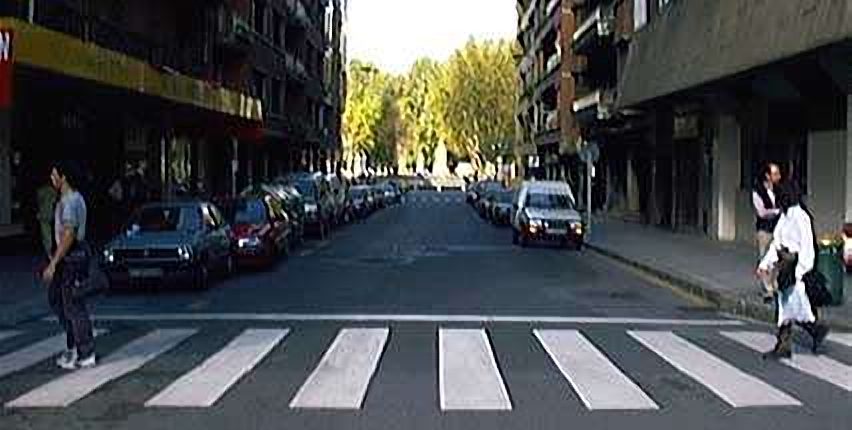 Colon a Mus. +3