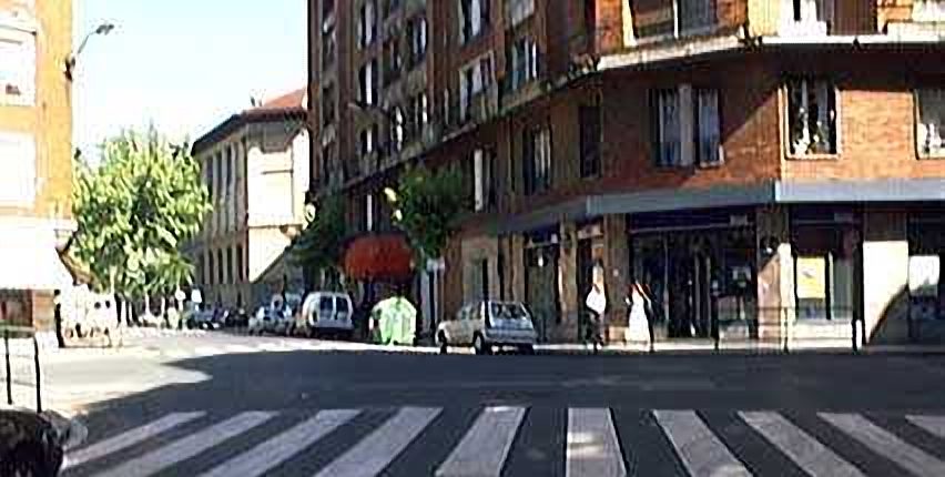 Poza a arias con concha